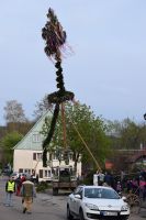 2016-04-30 Maibaum stellen 021 (DSC_0284)